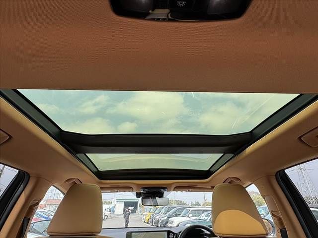 TOYOTA LEXUS NX250 2023 Image 31