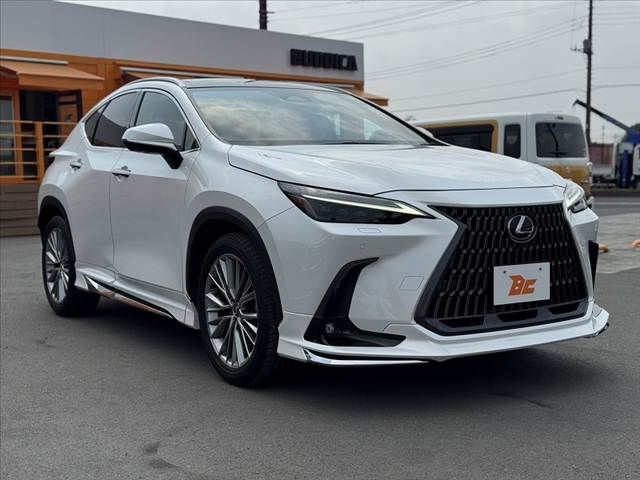 TOYOTA LEXUS NX250 2023 Image 31