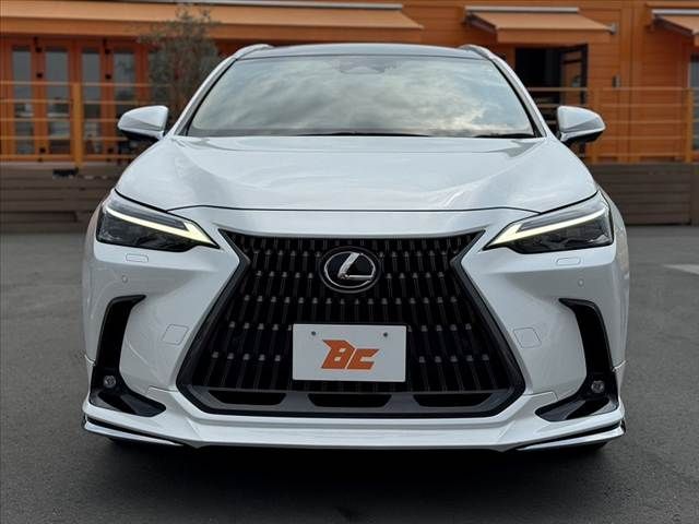 TOYOTA LEXUS NX250 2023 Image 31