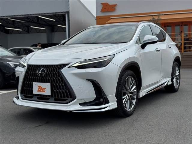 TOYOTA LEXUS NX250 2023 Image 31