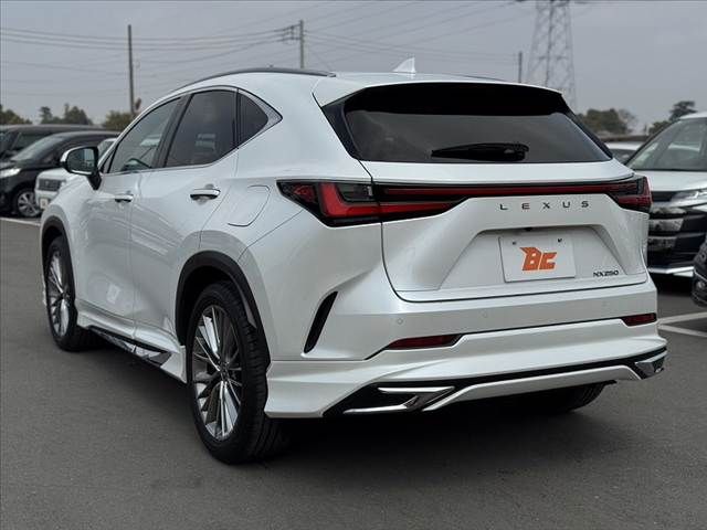 TOYOTA LEXUS NX250 2023 Image 31