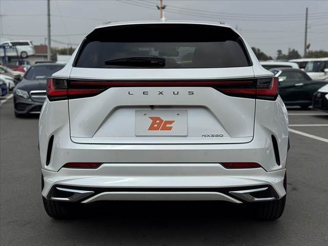 TOYOTA LEXUS NX250 2023 Image 31