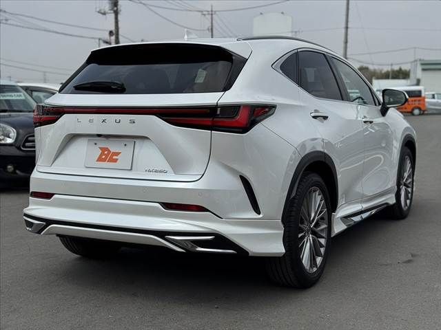 TOYOTA LEXUS NX250 2023 Image 31