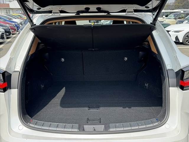 TOYOTA LEXUS NX250 2023 Image 31