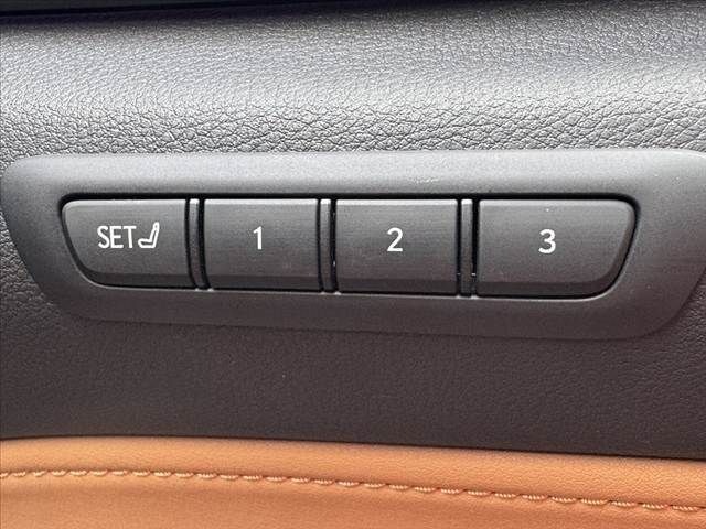 TOYOTA LEXUS NX250 2023 Image 31