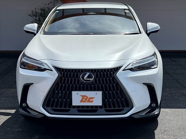 TOYOTA LEXUS NX250 2023 Image 31