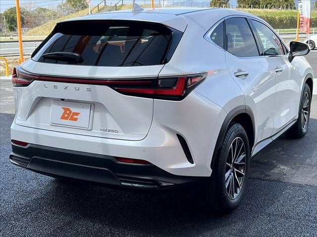 TOYOTA LEXUS NX250 2023 Image 31