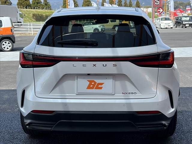 TOYOTA LEXUS NX250 2023 Image 31