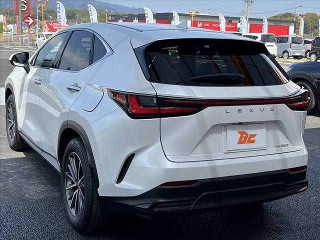 TOYOTA LEXUS NX250 2023 Image 31