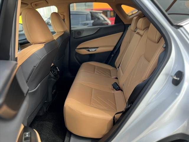 TOYOTA LEXUS NX250 2023 Image 31