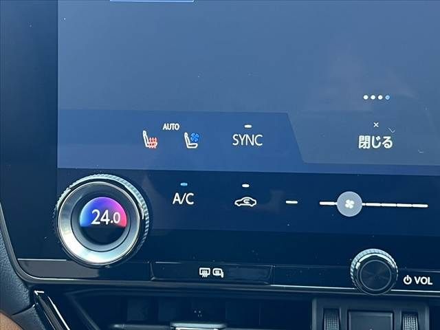 TOYOTA LEXUS NX250 2023 Image 31