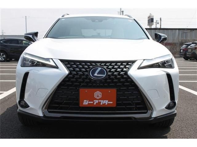 TOYOTA LEXUS UX250H 2021 Image 31