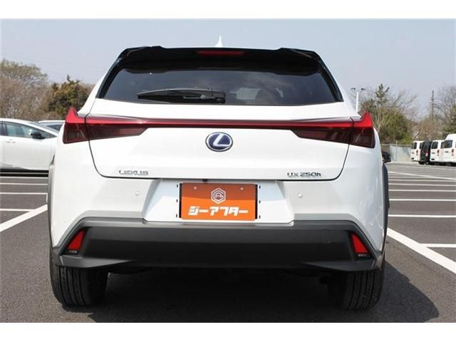 TOYOTA LEXUS UX250H 2021 Image 31