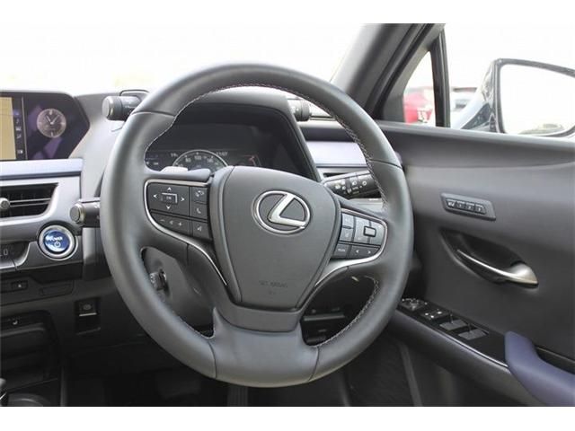 TOYOTA LEXUS UX250H 2021 Image 31