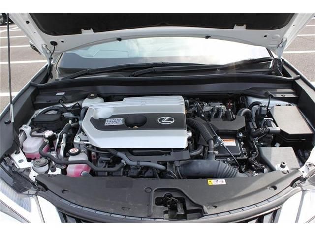 TOYOTA LEXUS UX250H 2021 Image 31