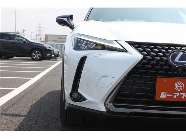 TOYOTA LEXUS UX250H 2021 Image 31