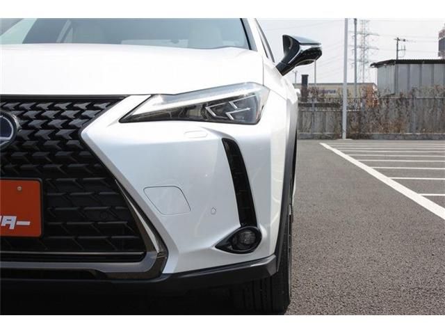 TOYOTA LEXUS UX250H 2021 Image 31