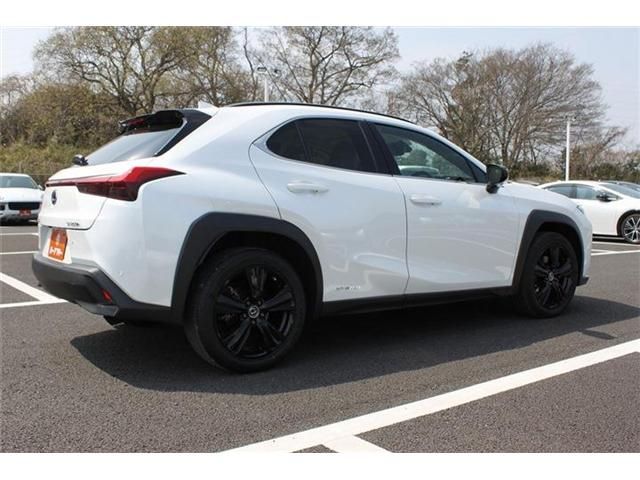 TOYOTA LEXUS UX250H 2021 Image 31