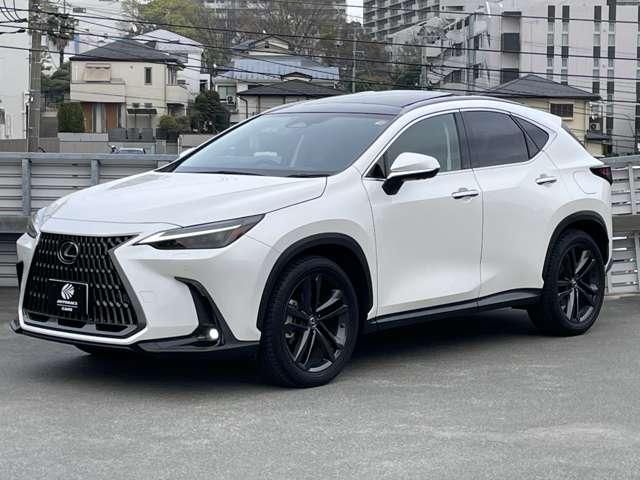 TOYOTA LEXUS NX350H 2023 Image 31
