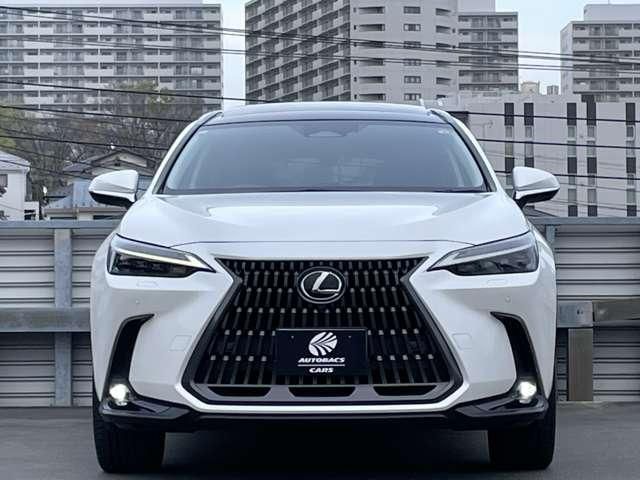 TOYOTA LEXUS NX350H 2023 Image 31