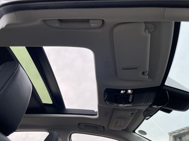 TOYOTA LEXUS NX350H 2023 Image 31