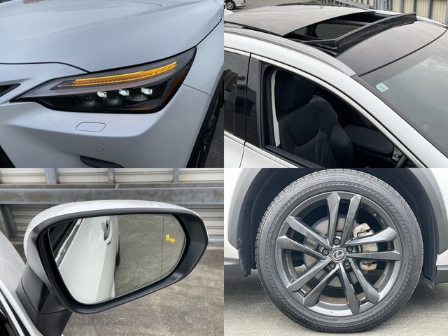 TOYOTA LEXUS NX350H 2023 Image 31