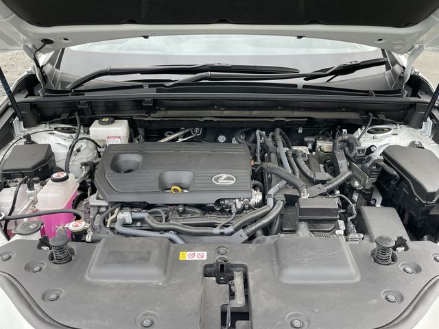 TOYOTA LEXUS NX350H 2023 Image 31