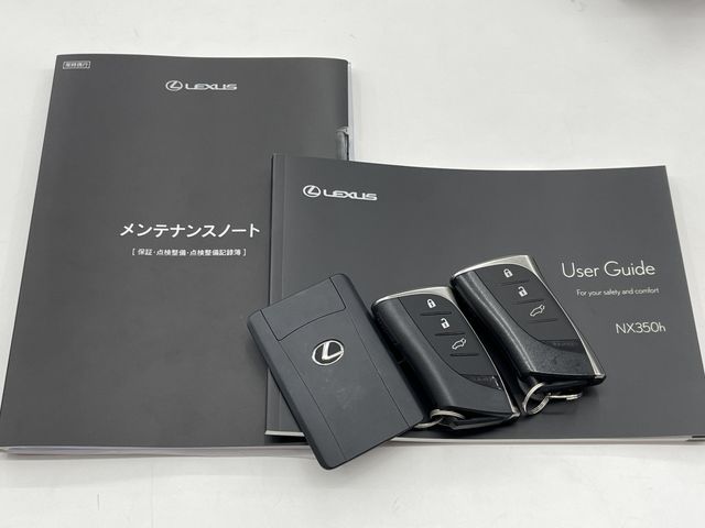 TOYOTA LEXUS NX350H 2023 Image 31
