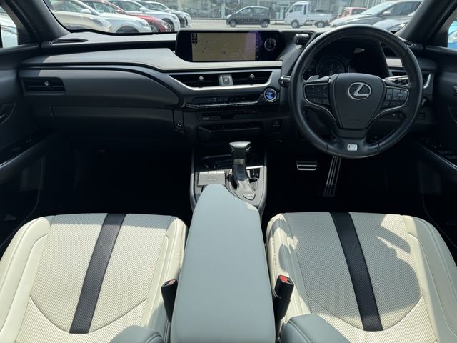 TOYOTA LEXUS UX250H 2019 Image 31