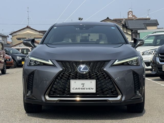 TOYOTA LEXUS UX250H 2019 Image 31