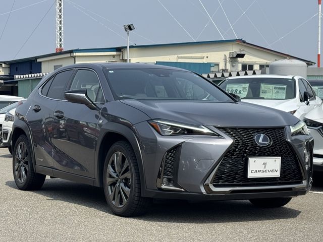 TOYOTA LEXUS UX250H 2019 Image 31