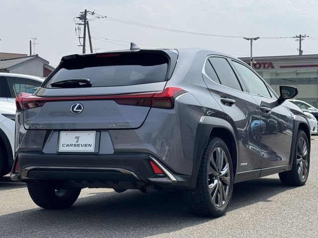 TOYOTA LEXUS UX250H 2019 Image 31