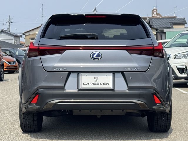 TOYOTA LEXUS UX250H 2019 Image 31