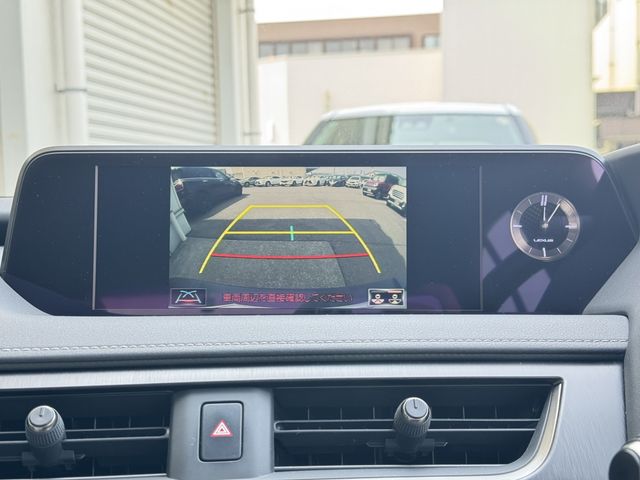 TOYOTA LEXUS UX250H 2019 Image 31