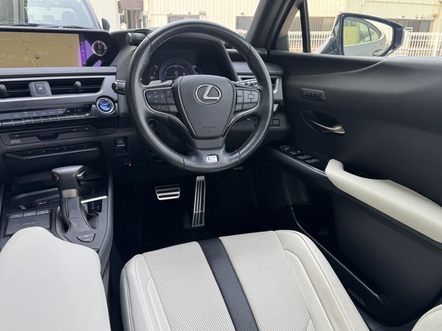 TOYOTA LEXUS UX250H 2019 Image 31