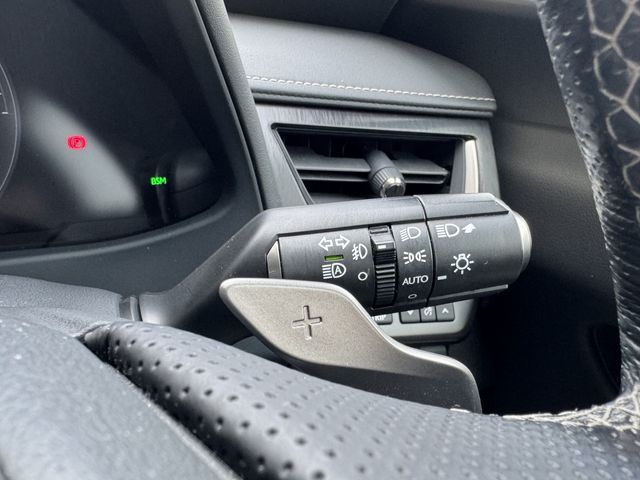 TOYOTA LEXUS UX250H 2019 Image 31