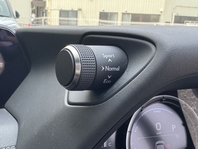 TOYOTA LEXUS UX250H 2019 Image 31