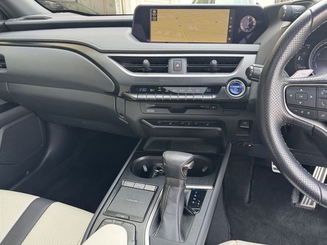 TOYOTA LEXUS UX250H 2019 Image 31