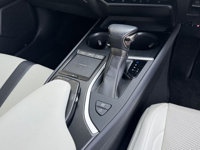 TOYOTA LEXUS UX250H 2019 Image 31