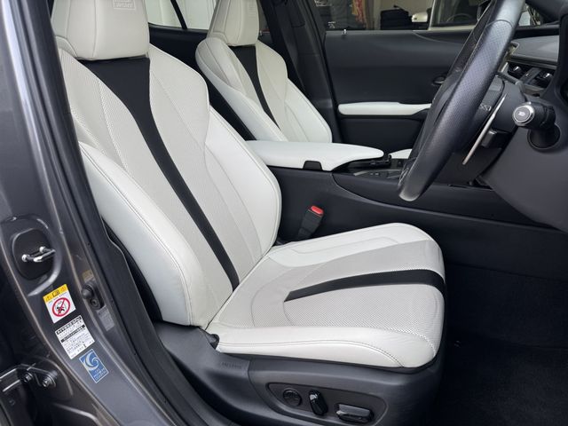 TOYOTA LEXUS UX250H 2019 Image 31