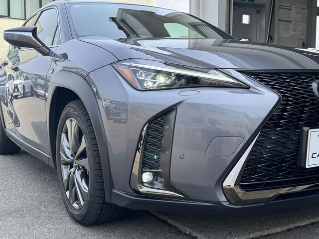 TOYOTA LEXUS UX250H 2019 Image 31