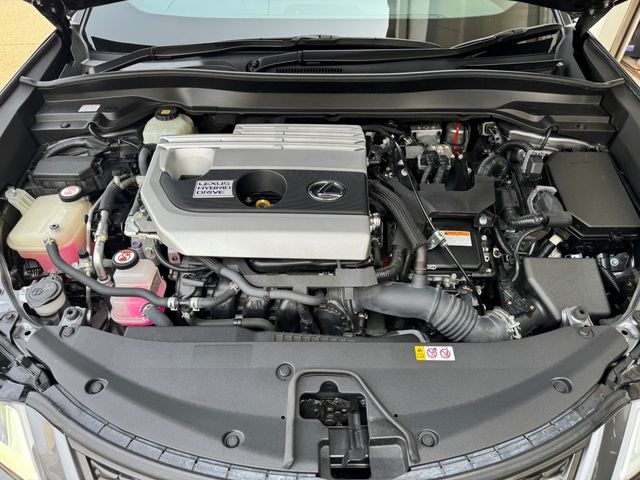 TOYOTA LEXUS UX250H 2019 Image 31