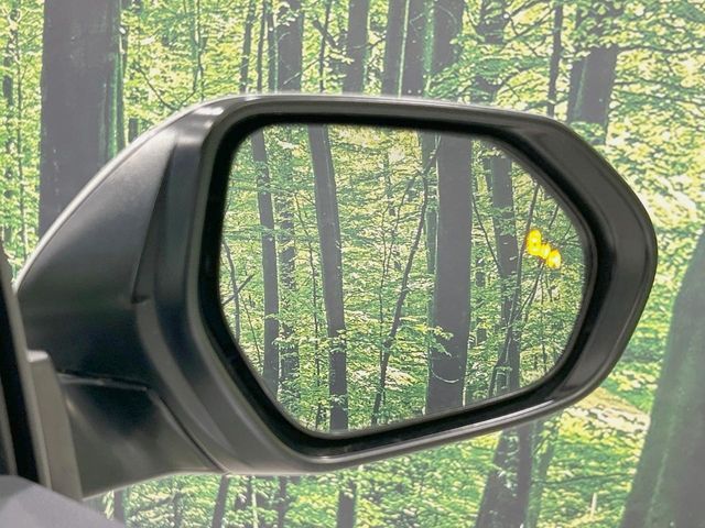 TOYOTA C-HR 2019 Image 31