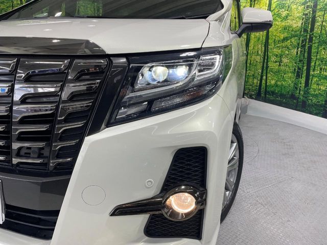 TOYOTA ALPHARD 2016 Image 31