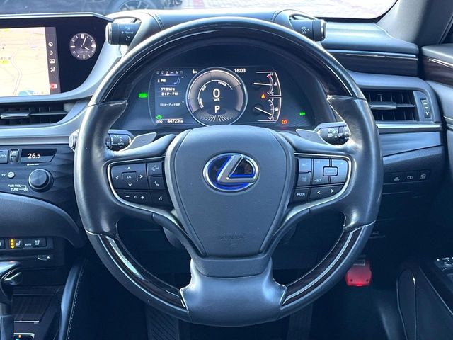 TOYOTA LEXUS ES300H 2019 Image 31