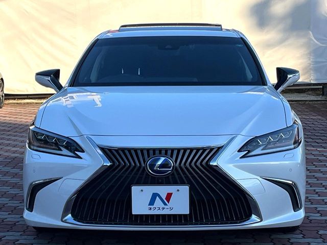 TOYOTA LEXUS ES300H 2019 Image 31