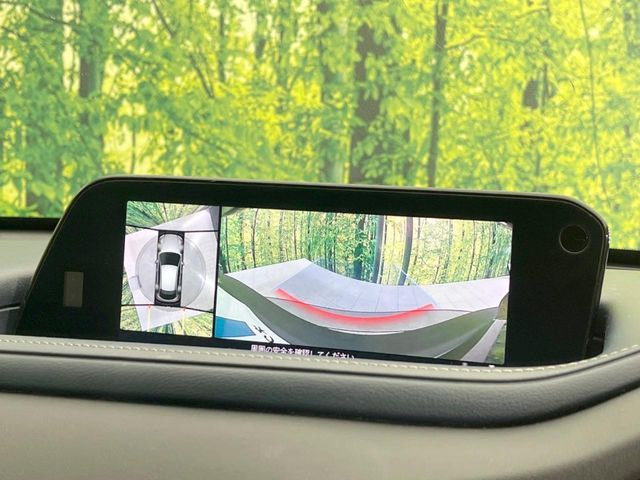 MAZDA CX-30 2020 Image 31