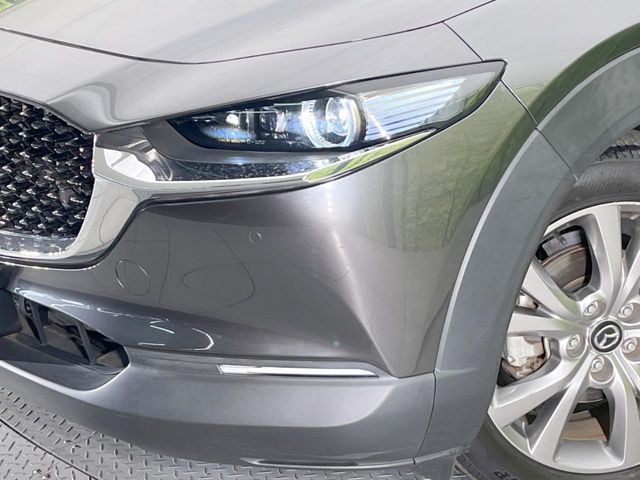 MAZDA CX-30 2020 Image 31