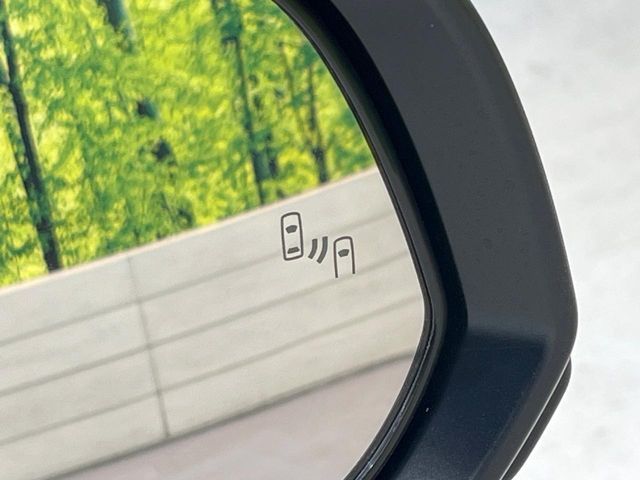 TOYOTA ALPHARD 2024 Image 31