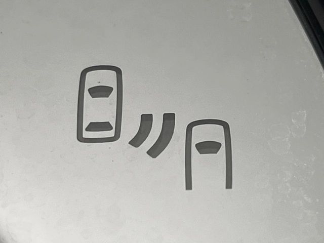 TOYOTA ALPHARD 4WD 2019 Image 31